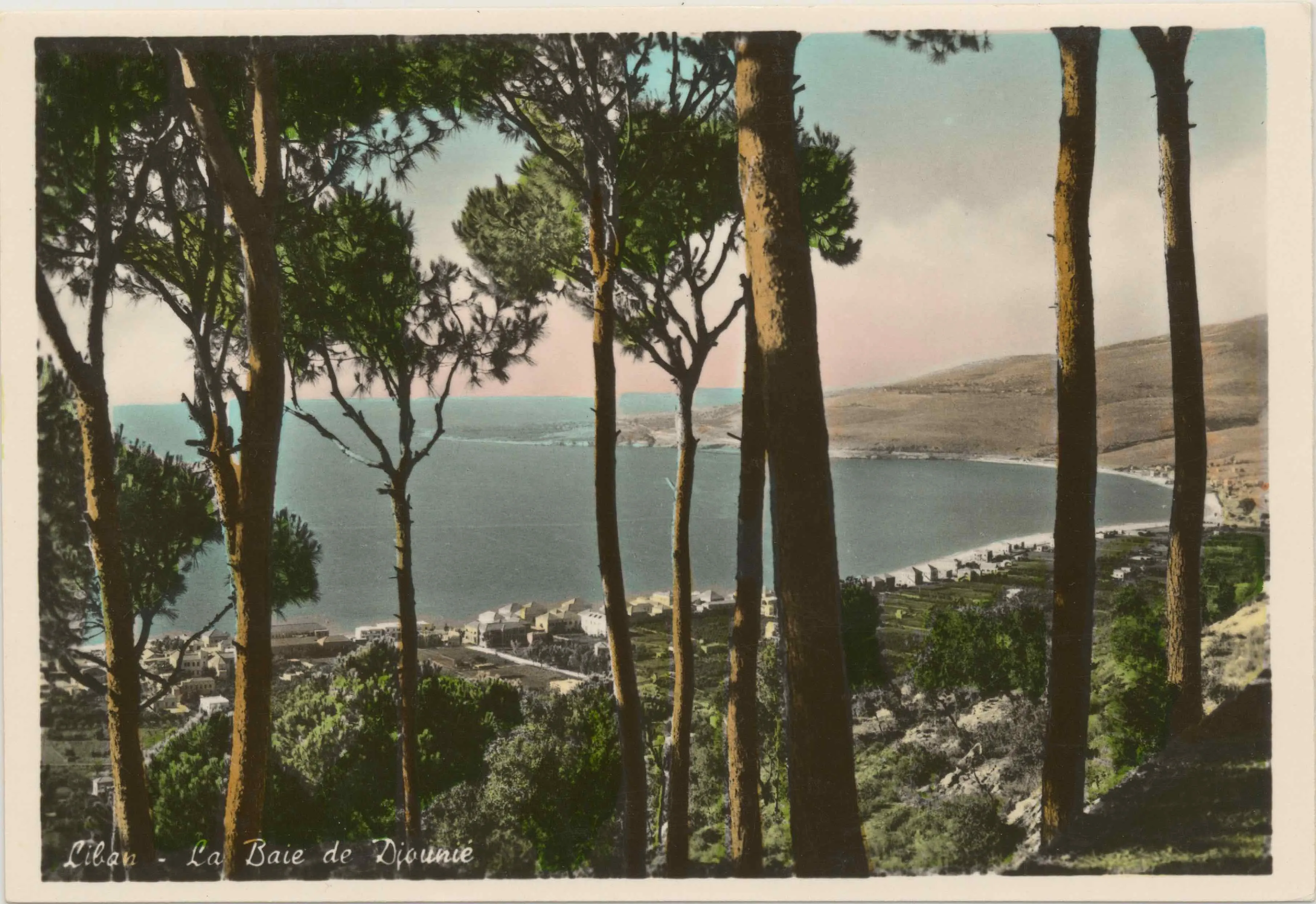 Hand-tinted postcard, 'Liban - La Baie de Djounié,' the bay seen through a stand of pines
